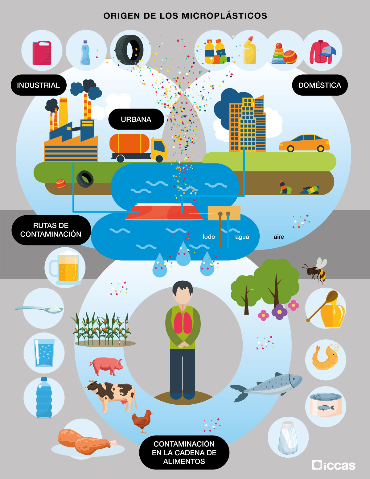 Infografia microplasticos