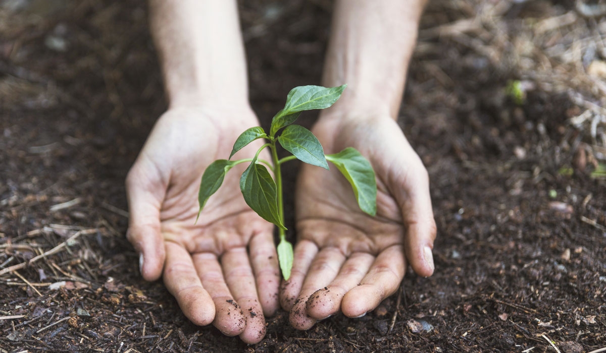 5 de junio: Día Mundial del Medioambiente